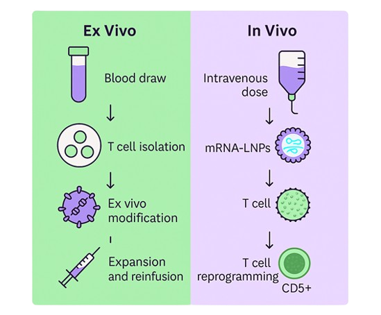 In Vivo CAR-T Therapy with Lipid Nanoparticles: A Non-Viral Approach